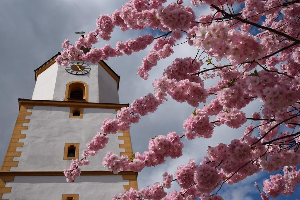 Zum Waldnaabtal Hotel Windischeschenbach Luaran gambar