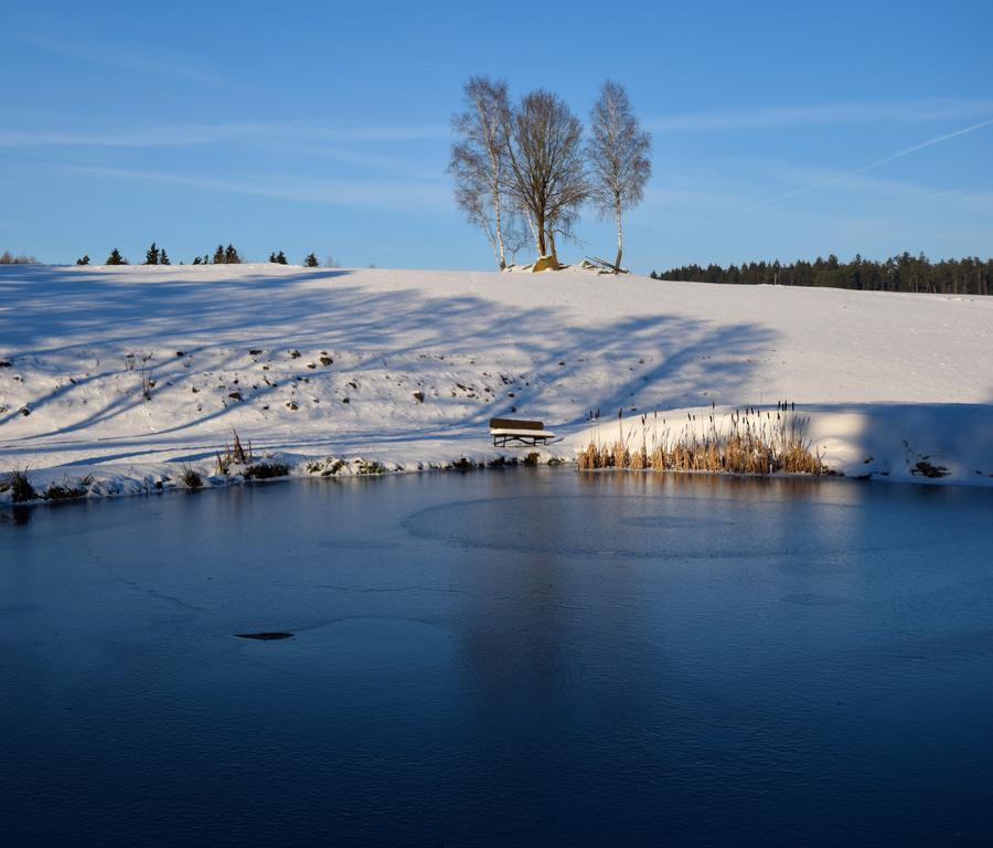 Zum Waldnaabtal Hotel Windischeschenbach Luaran gambar